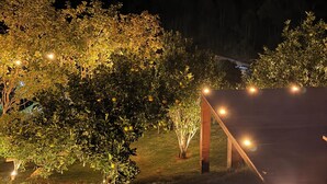 Espacio al aire libre iluminado de noche, con árboles y una estructura de madera.
