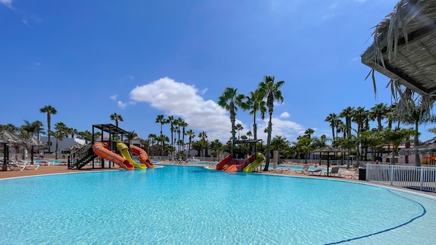 A large swimming pool with slides, surrounded by palm trees and lounge chairs.
