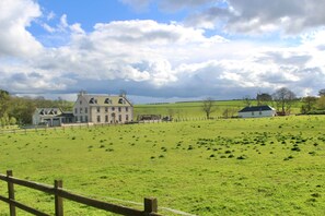 Property grounds - Country Cottage Sleeps 3 With Garden and Parking (Edinburgh)