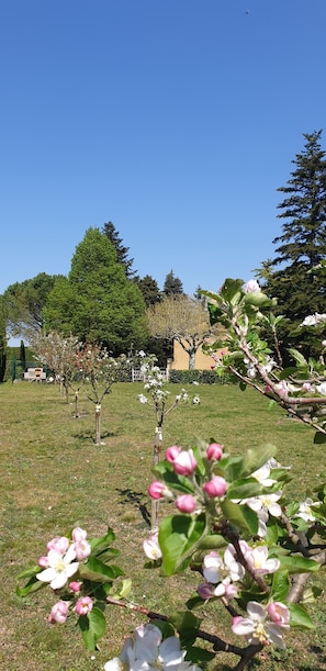 Terrain de lâhĂ©bergement