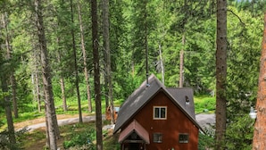A cabin surrounded by tall trees, with a gravel driveway leading to the entrance. - Mountain Cabin w/ Hot Tub - Sleeps 6 (Peshastin)