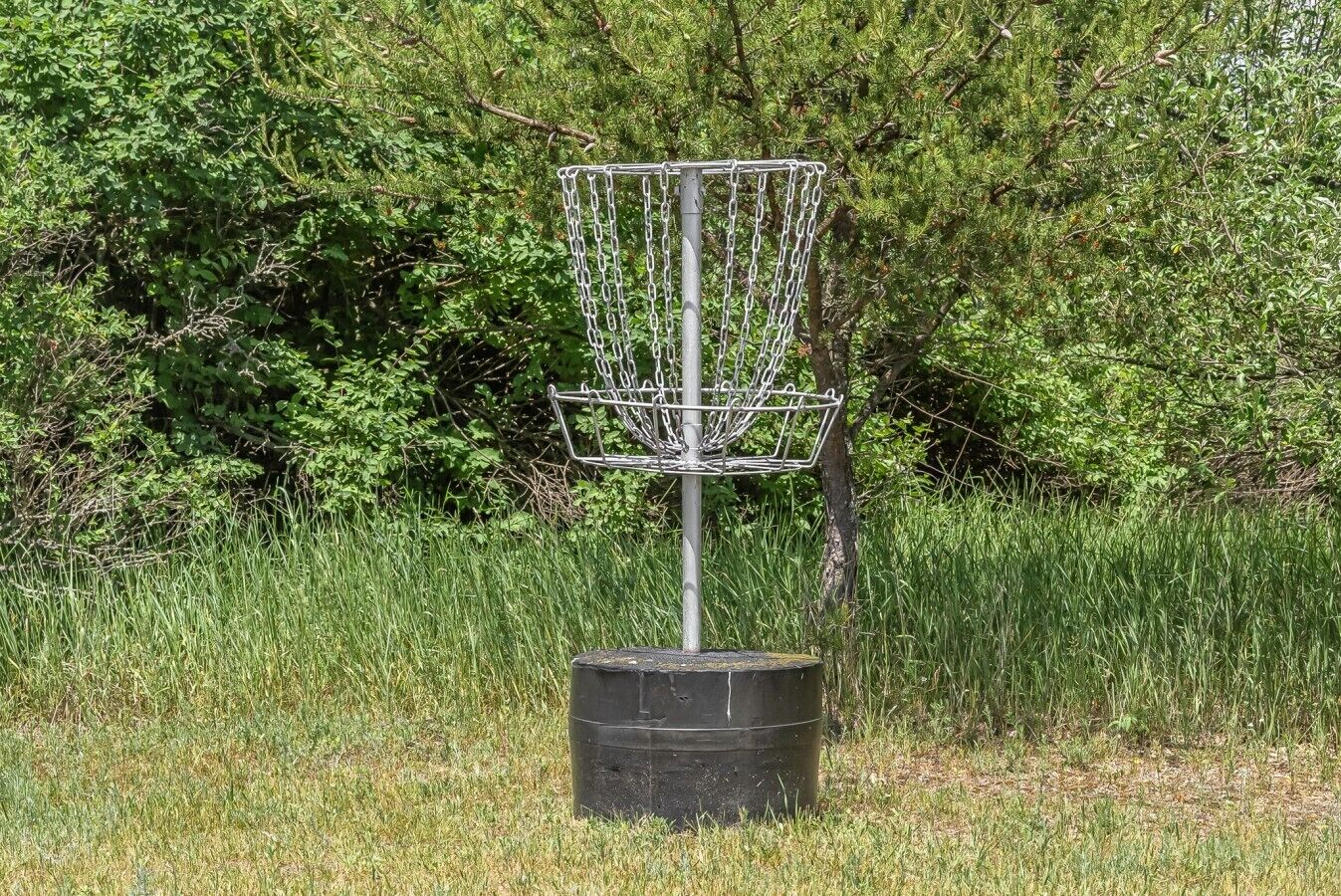 Un panier de disc golf en métal, fixé sur un poteau dans un champ herbeux, avec un feuillage dense en arrière-plan.