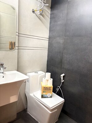 Hair dryer, towels, soap - Aashiyana Apartments. (New Delhi)