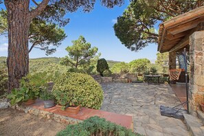 Un patio de piedra con un aro de baloncesto, rodeado de macetas con plantas y árboles.