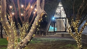 A tree with string lights, a tent-like structure, and a clear view of the sky.