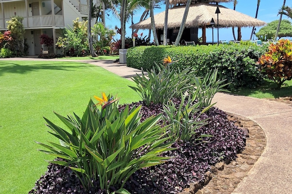Jardines del alojamiento