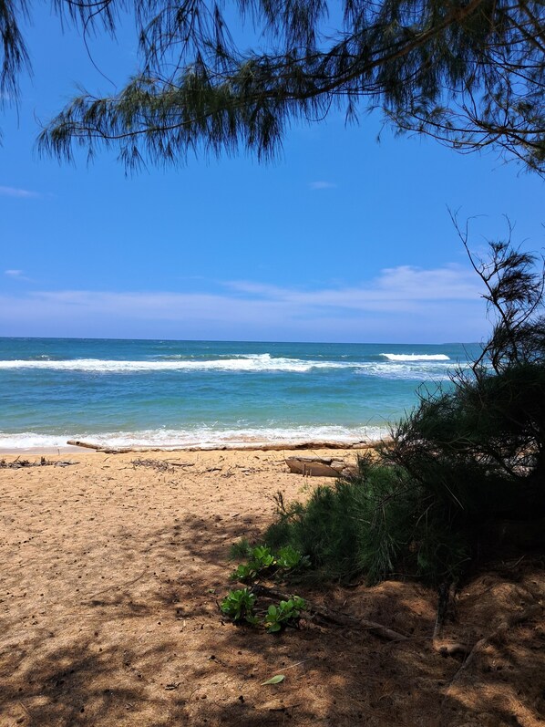 Ein Strand mit klarem, blauem Wasser, sandigem Ufer und etwas Vegetation.