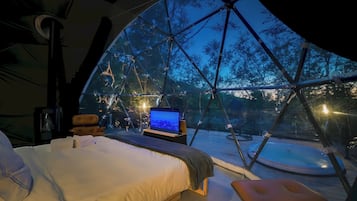 Estudio (1 Bedroom) | Interior