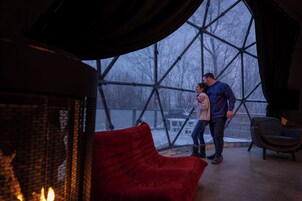 Studio (1 Bedroom) | Fireplace