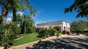 Un edificio blanco con arcos y un patio cubierto, rodeado de un jardín bien cuidado con palmeras y otra vegetación.
