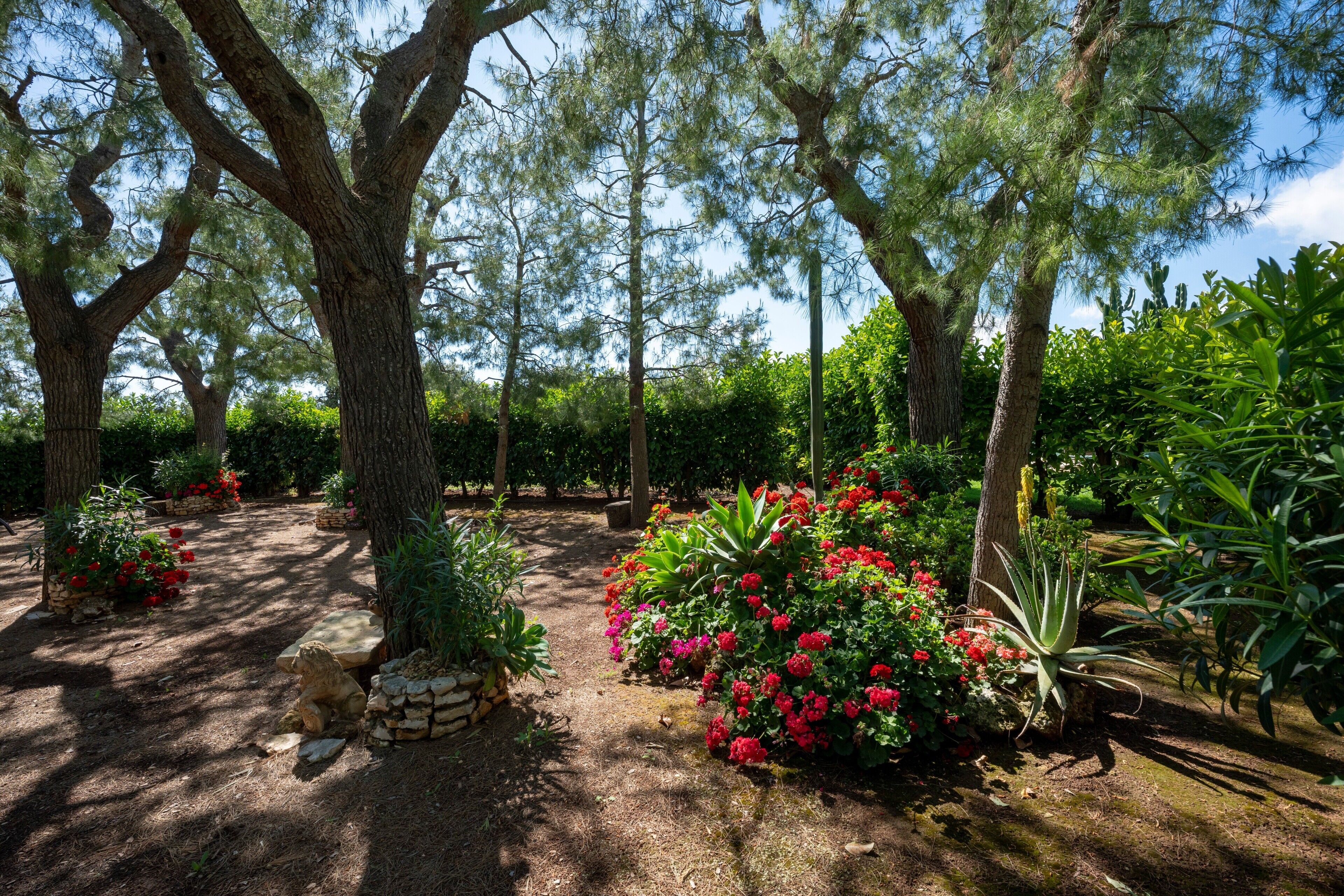 Parco della struttura