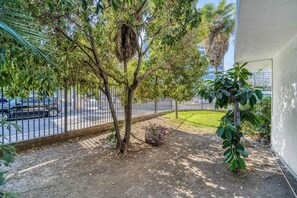 Un arbre aux racines aériennes, un petit arbuste et une clôture dans un espace aménagé.