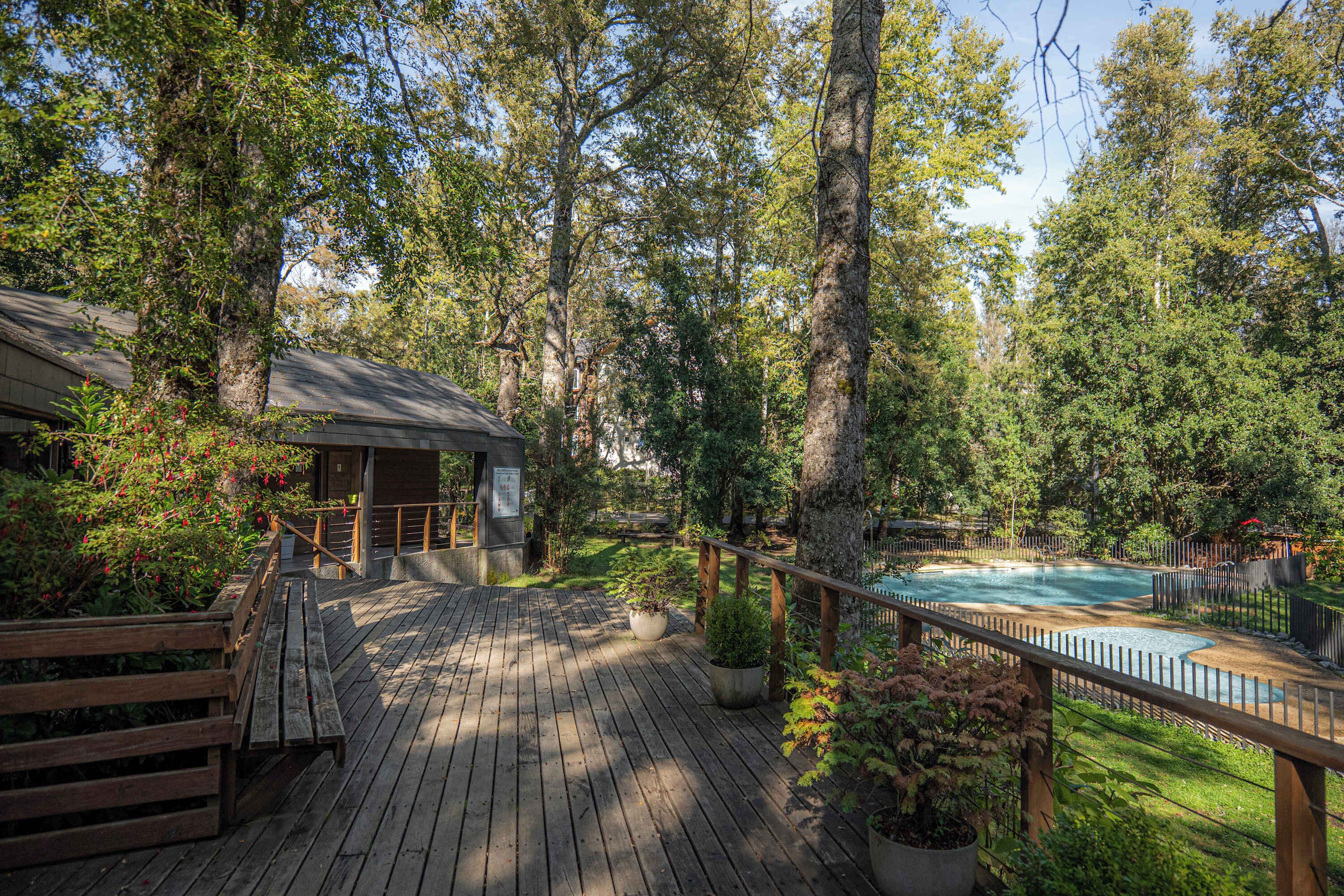 A wooden deck with a pool, surrounded by trees and greenery.