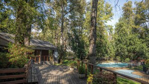 Une terrasse en bois avec une piscine, entourée d’arbres et de verdure.