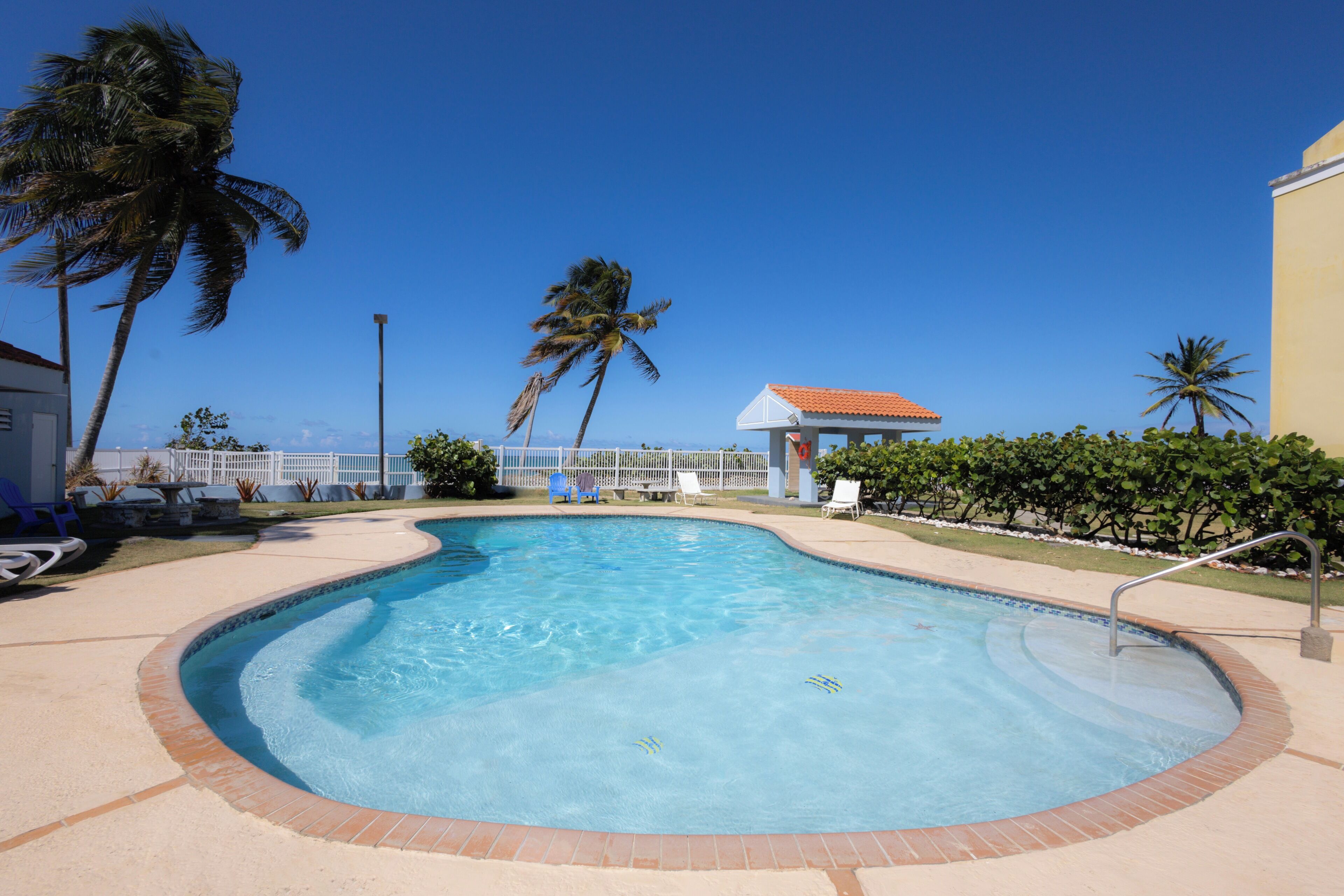 A swimming pool with a curved edge, surrounded by lounge chairs and palm trees.