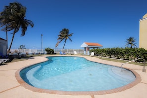 Ein Pool mit gewölbter Kante, umgeben von Liegestühlen und Palmen.