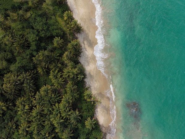 Eine Vogelperspektive eines Strandes mit dichter Palmenvegetation und klarem türkisblauem Wasser.