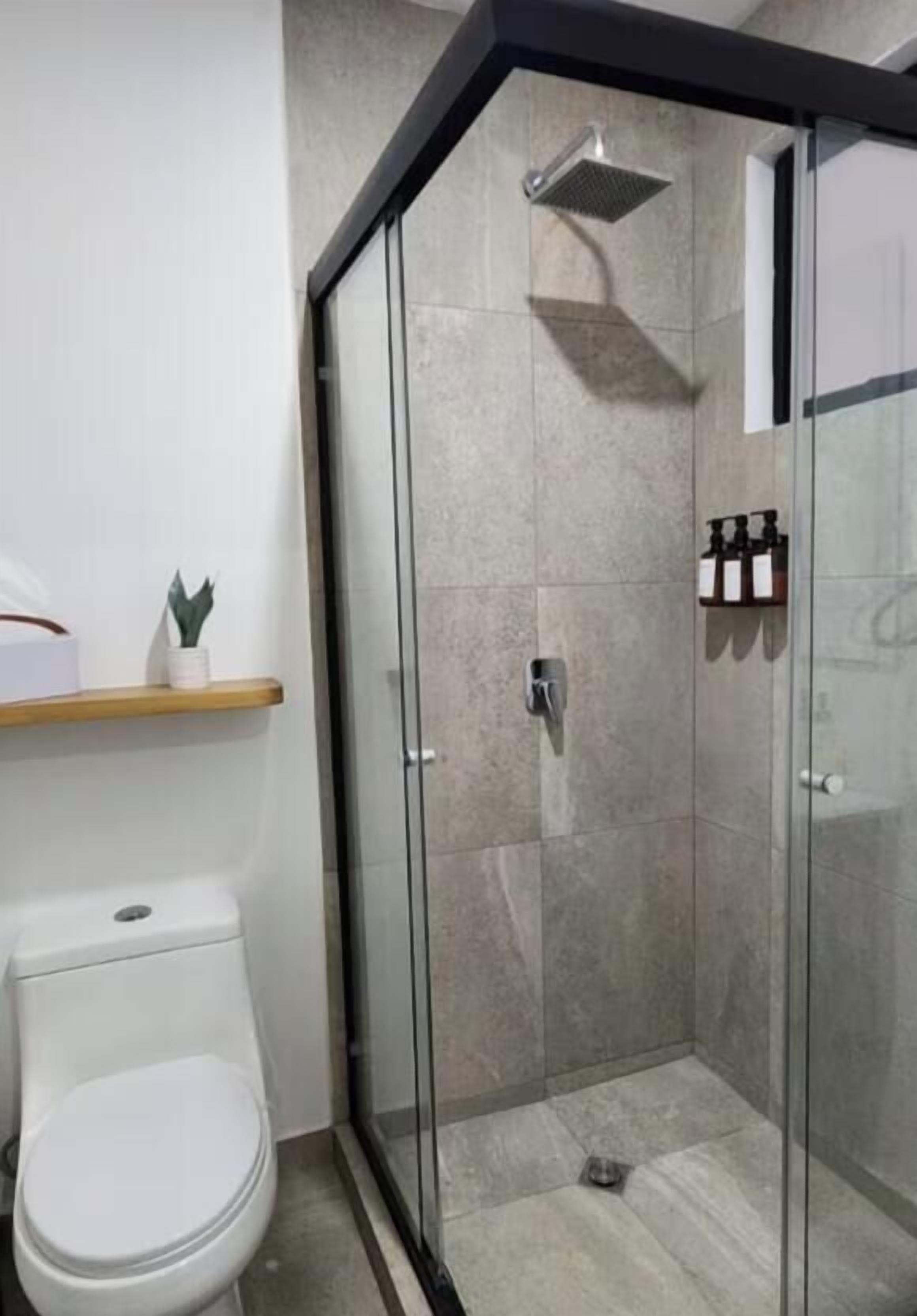 Hair dryer, towels, soap, toilet paper