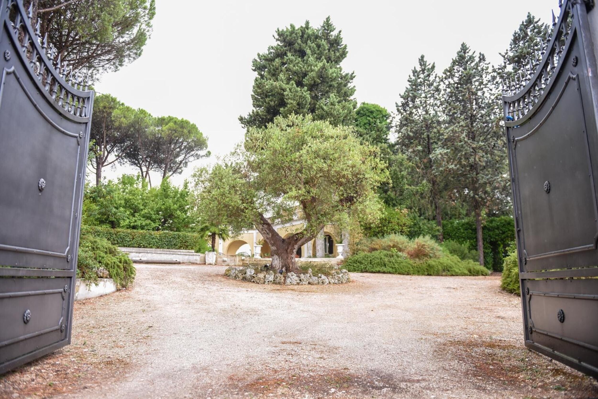 Terrain de l’hébergement 