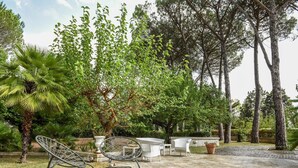 Un patio amueblado al aire libre, con sillas y una mesa, rodeado de árboles y follaje.