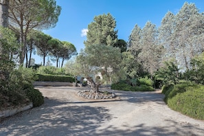 Un chemin de gravier serpente à travers un jardin aménagé, où l’on trouve divers arbres et arbustes.
