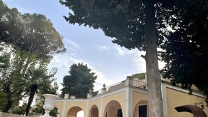 Un edificio con varios arcos, un balcón y un árbol grande.