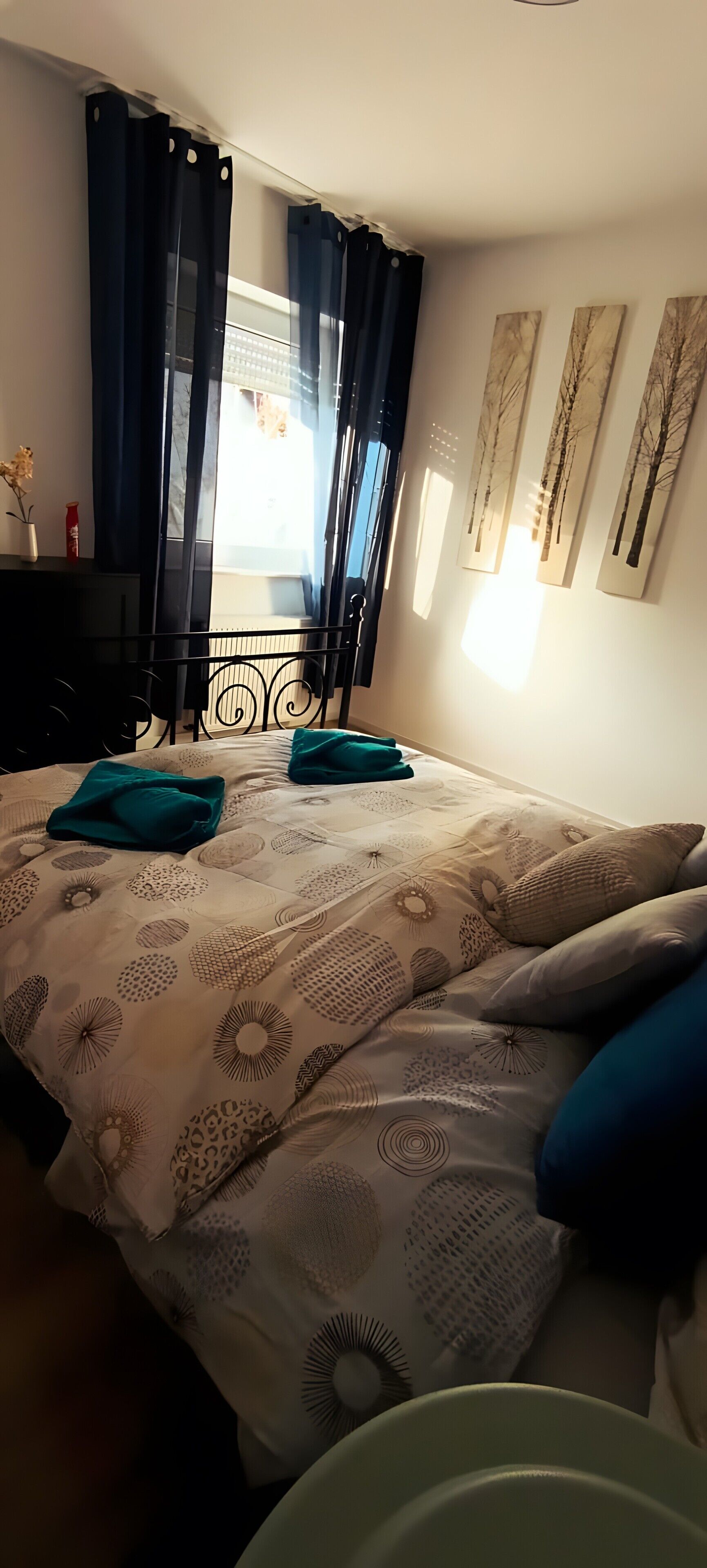 Iron/ironing board, WiFi, bed sheets