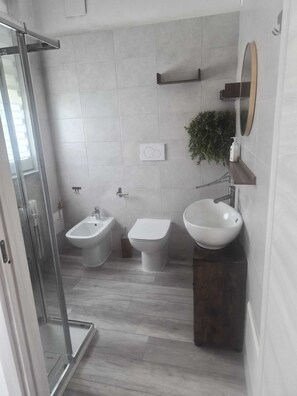 Hair dryer, bidet, towels, soap