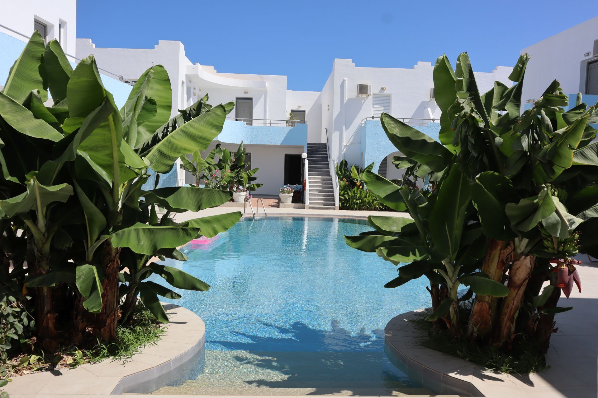 Piscina rodeada por plantas tropicais e edifícios brancos.