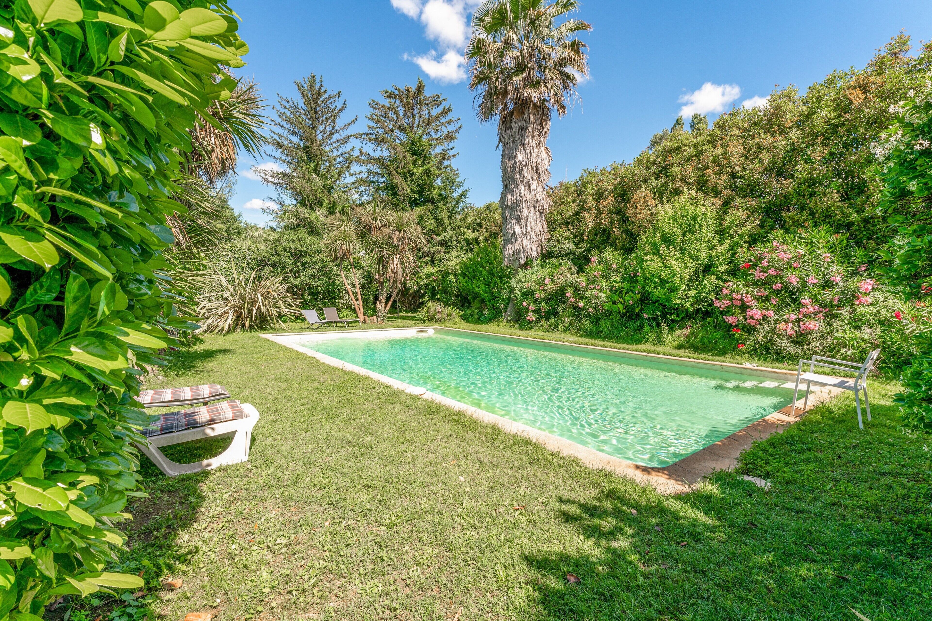 Una piscina rectangular con césped y sillones de descanso, rodeada de exuberante vegetación y altos árboles.