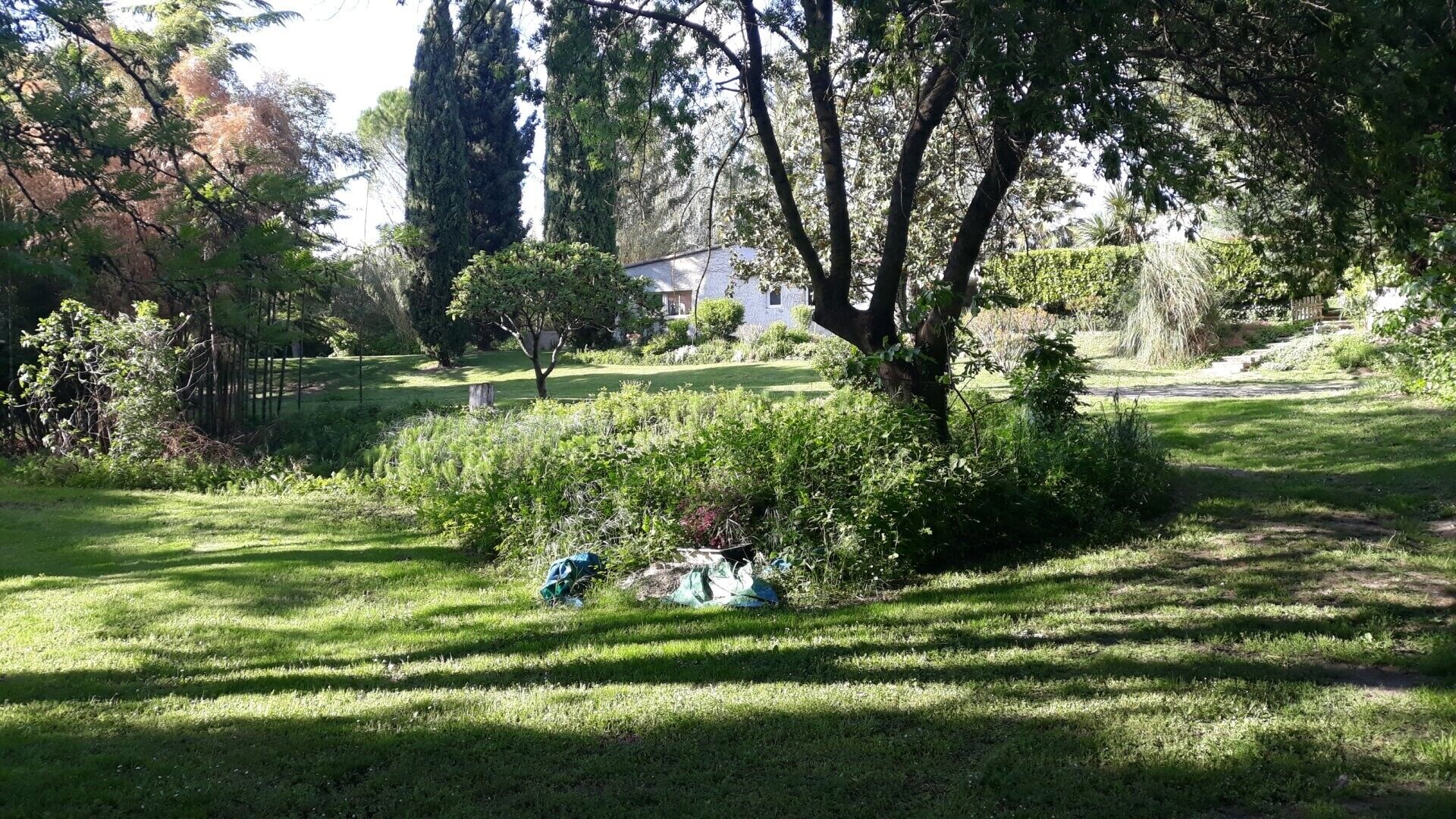 Jardines del alojamiento