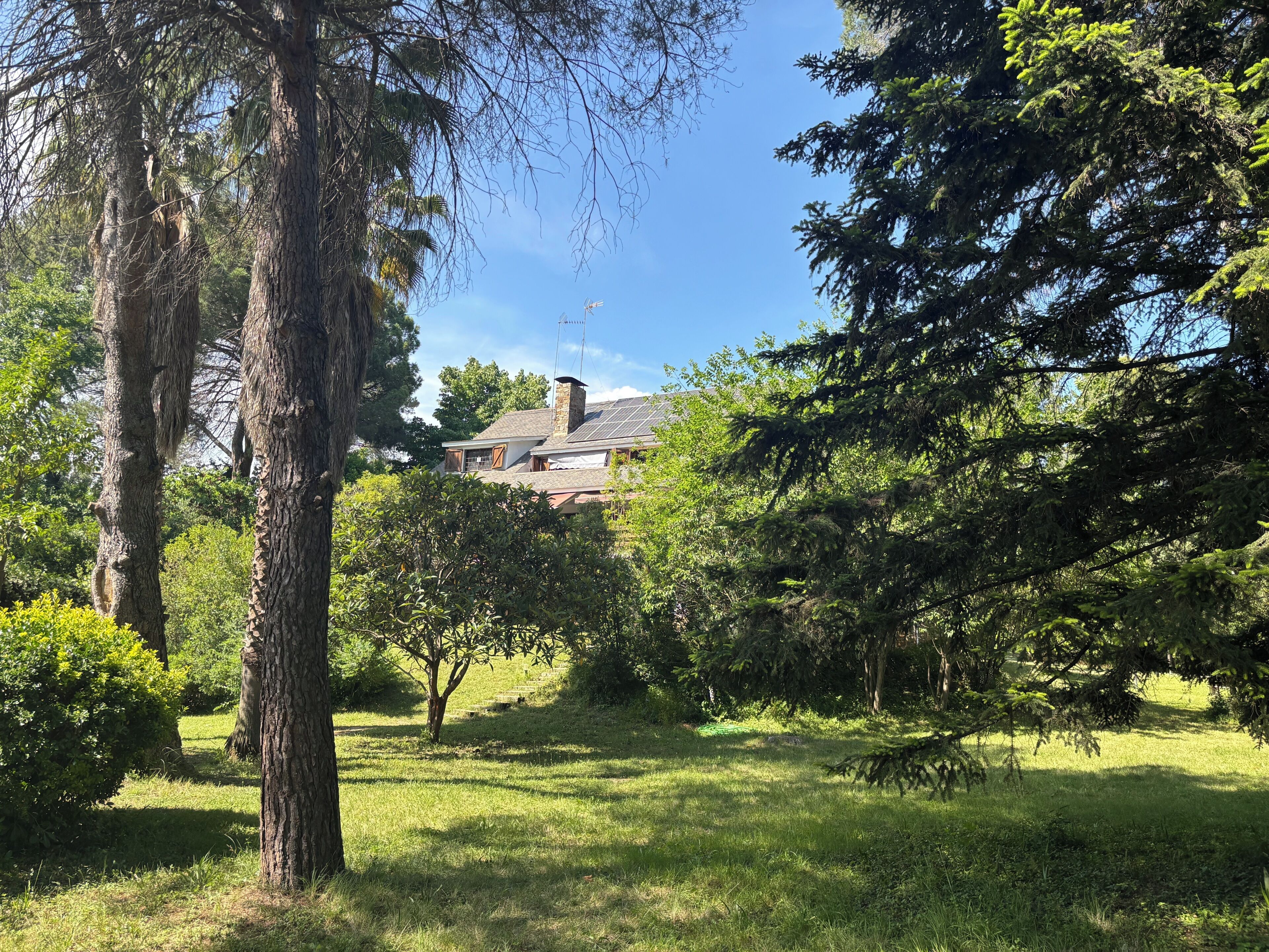 Una casa rodeada de árboles y césped.