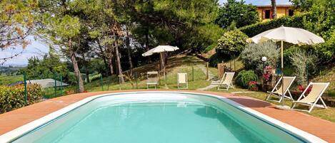 Una piscina con lettini e ombrelloni, circondata da alberi e da un pendio.