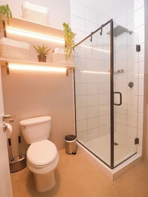 Et moderne badeværelse med en glasvægs brusekabine, toilet og en hylde med planter.
