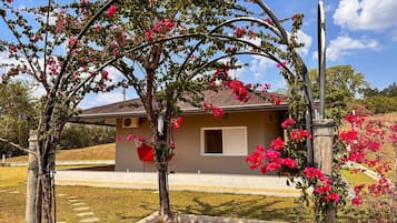 Uma casa com jardim, uma pérgula florida e céu claro.