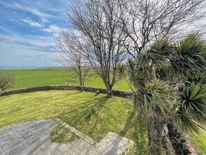 A stone wall, a grassy field, and a tree.