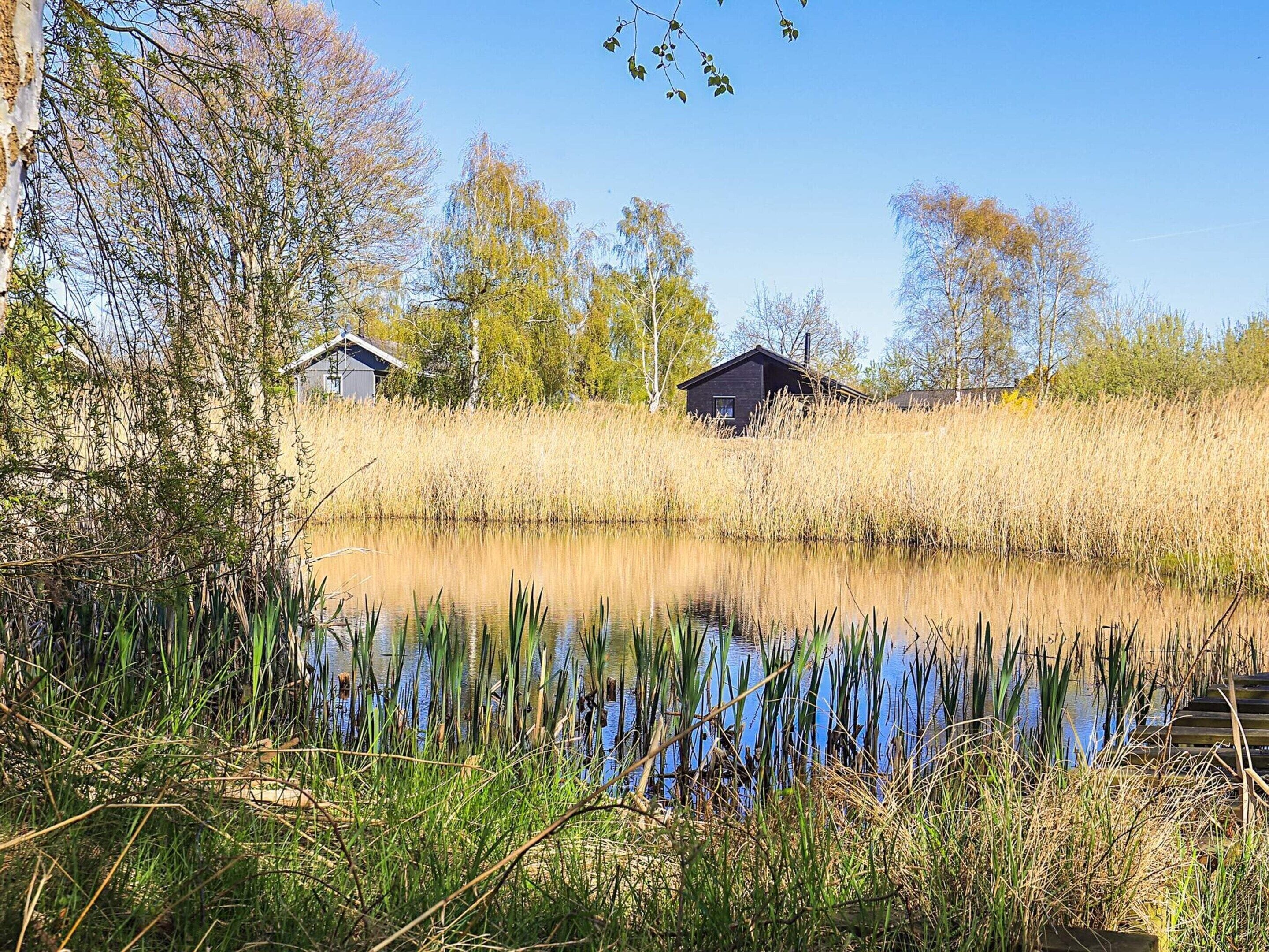 A serene lakeside setting with two cabins surrounded by tall grasses and trees.