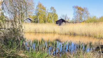 A serene lakeside setting with two cabins surrounded by tall grasses and trees.