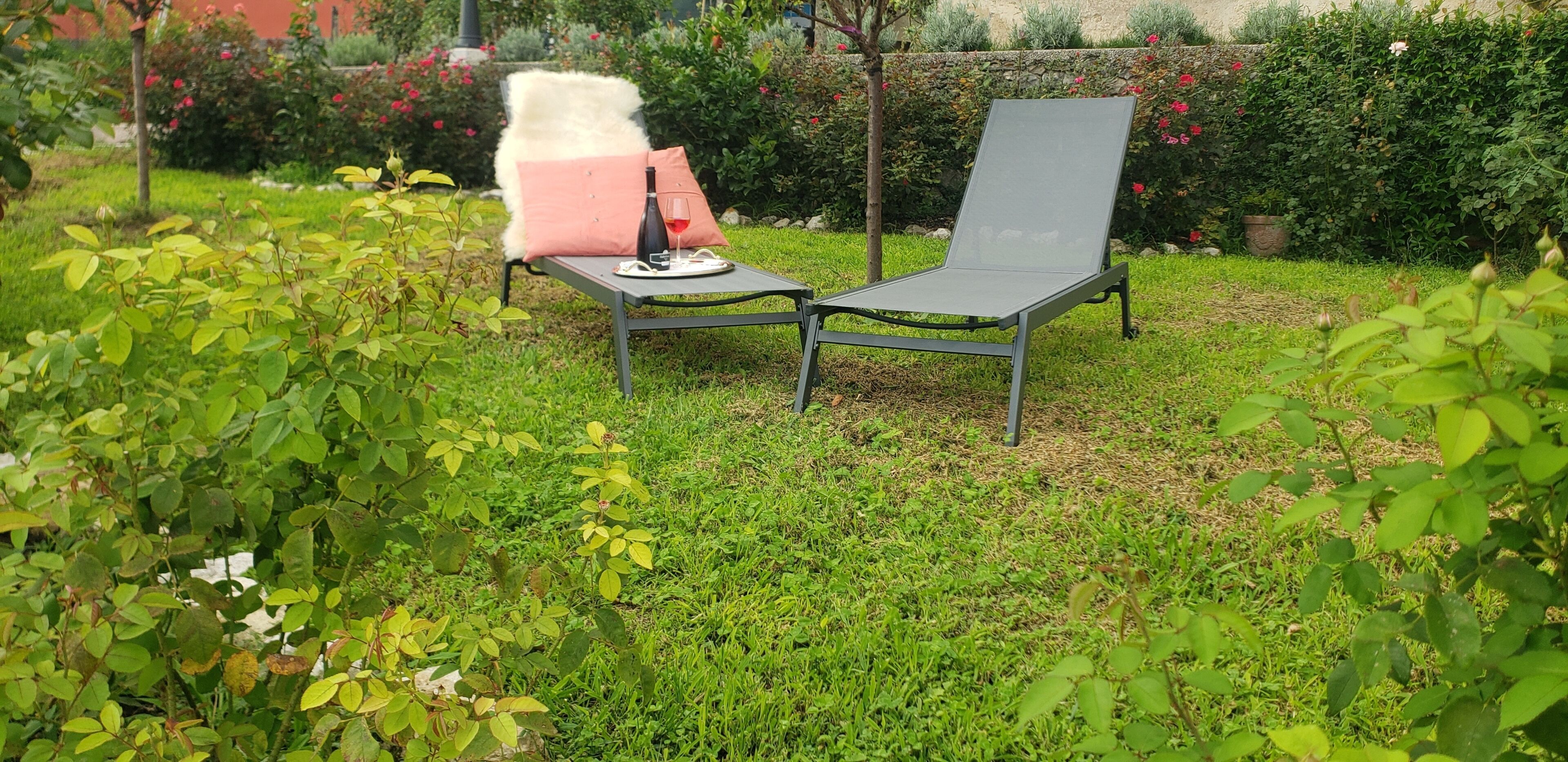 Two outdoor chairs with cushions in a garden setting.