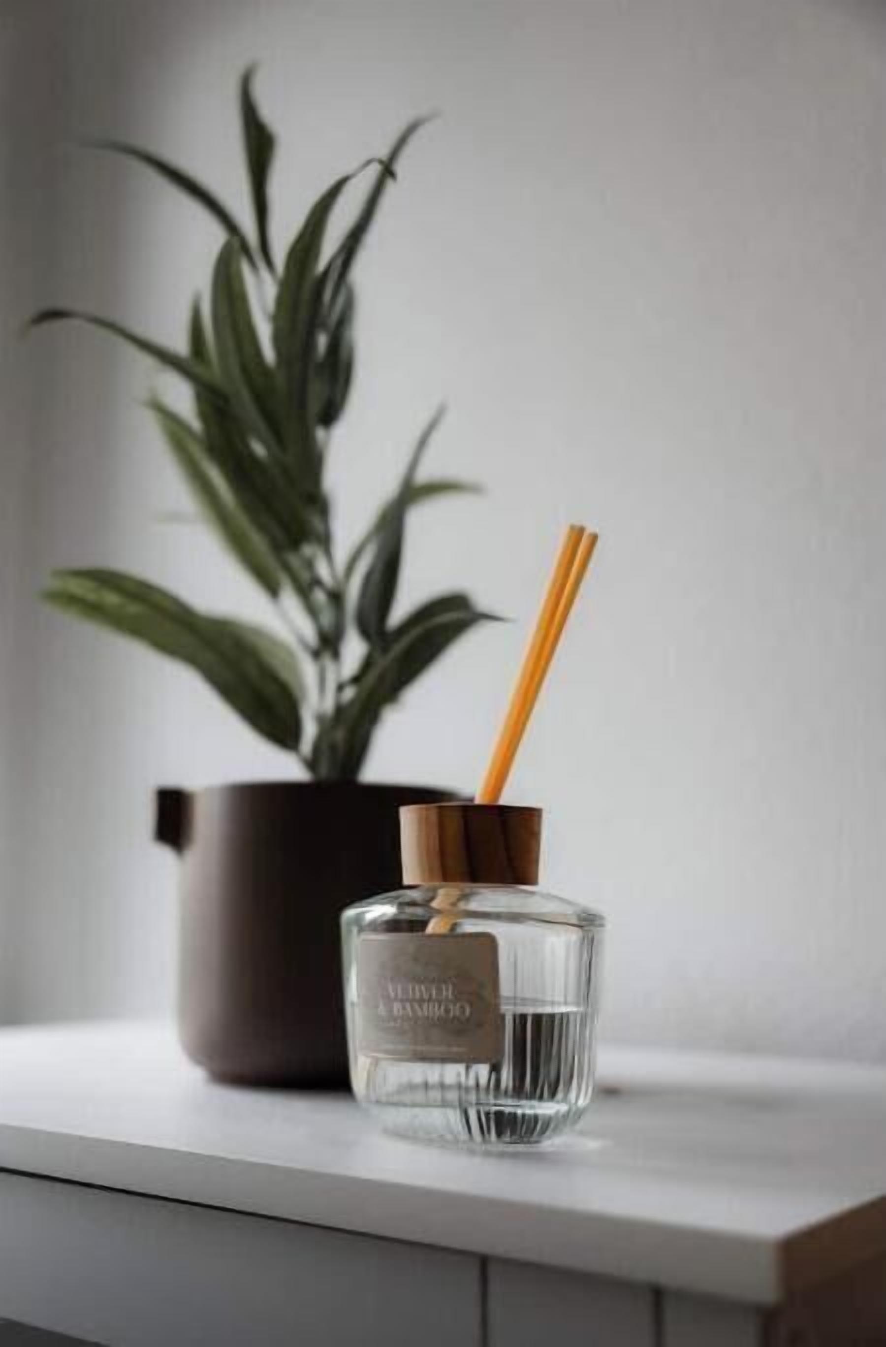 Una botella de vidrio transparente con un palito de madera, sobre una superficie blanca, con una planta en maceta al fondo.