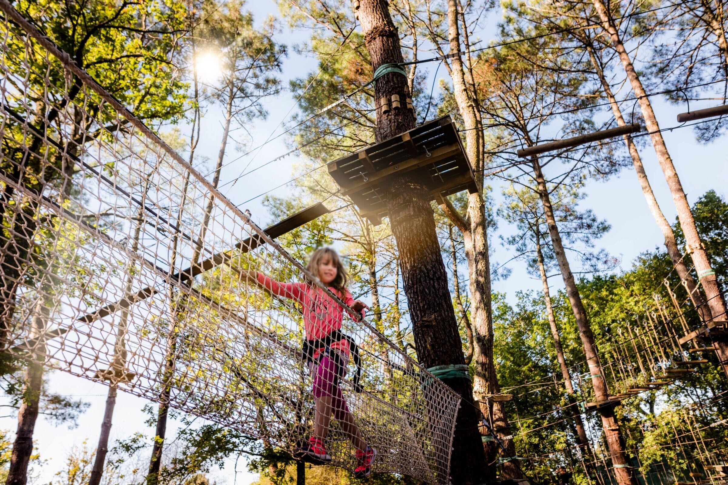 A person on a rope bridge in a forested area.