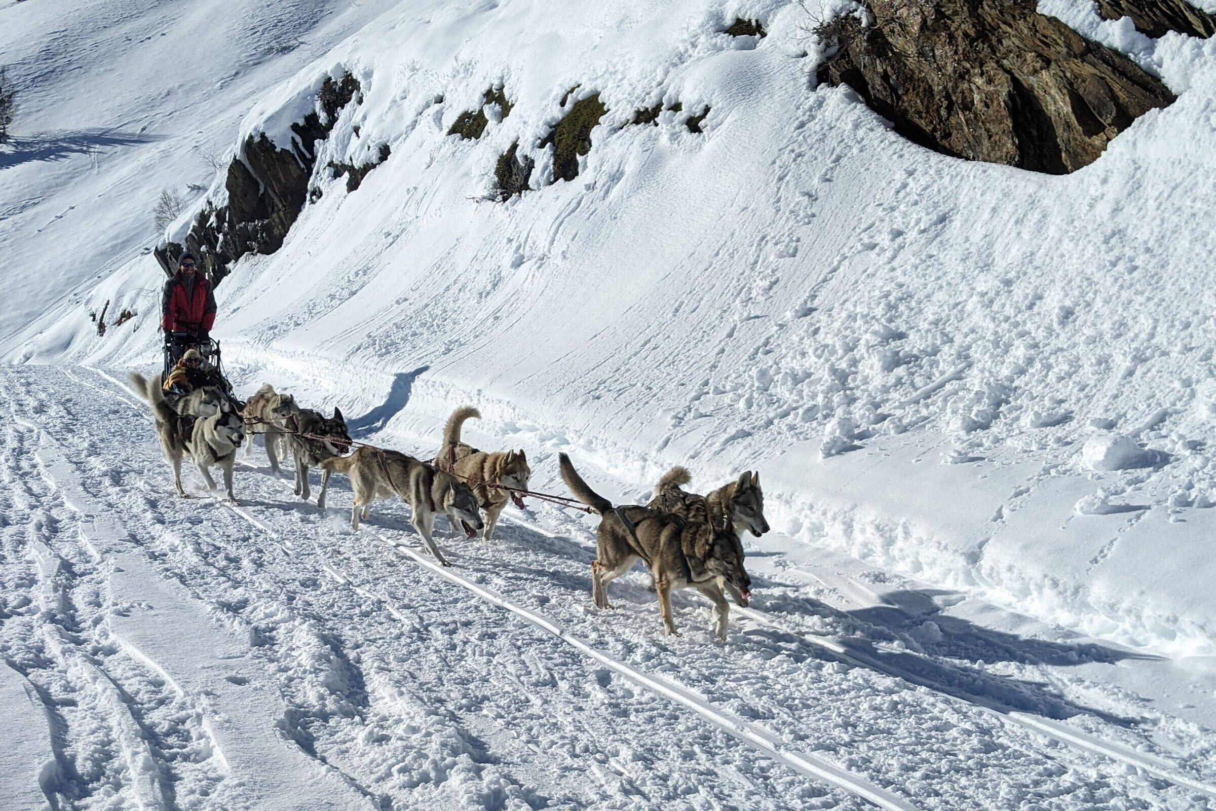 A snowy mountain landscape with a person in a wheelchair being pulled by dogs.