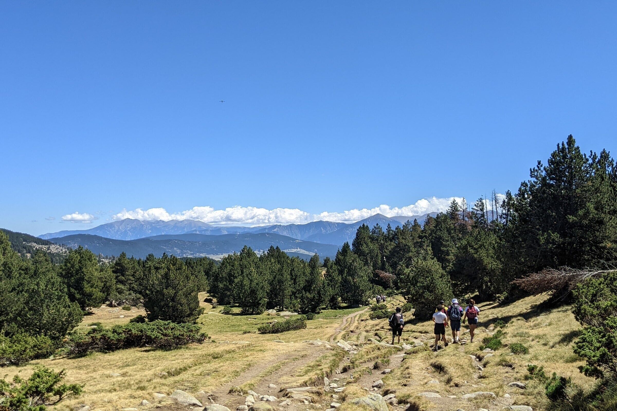 Eine Berglandschaft mit Wanderern auf einem Pfad, umgeben von dichtem Wald und fernen, schneebedeckten Gipfeln.