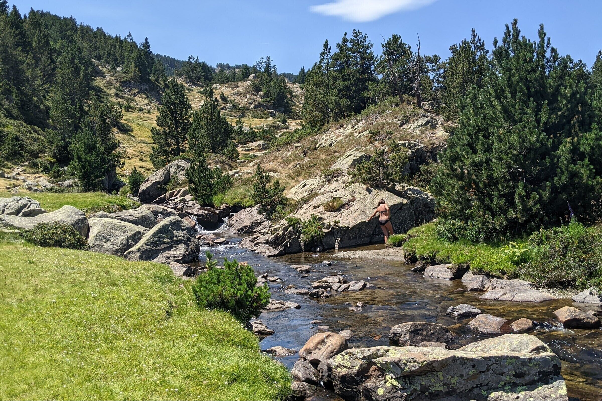 A natural landscape with a stream, rocks, and trees.