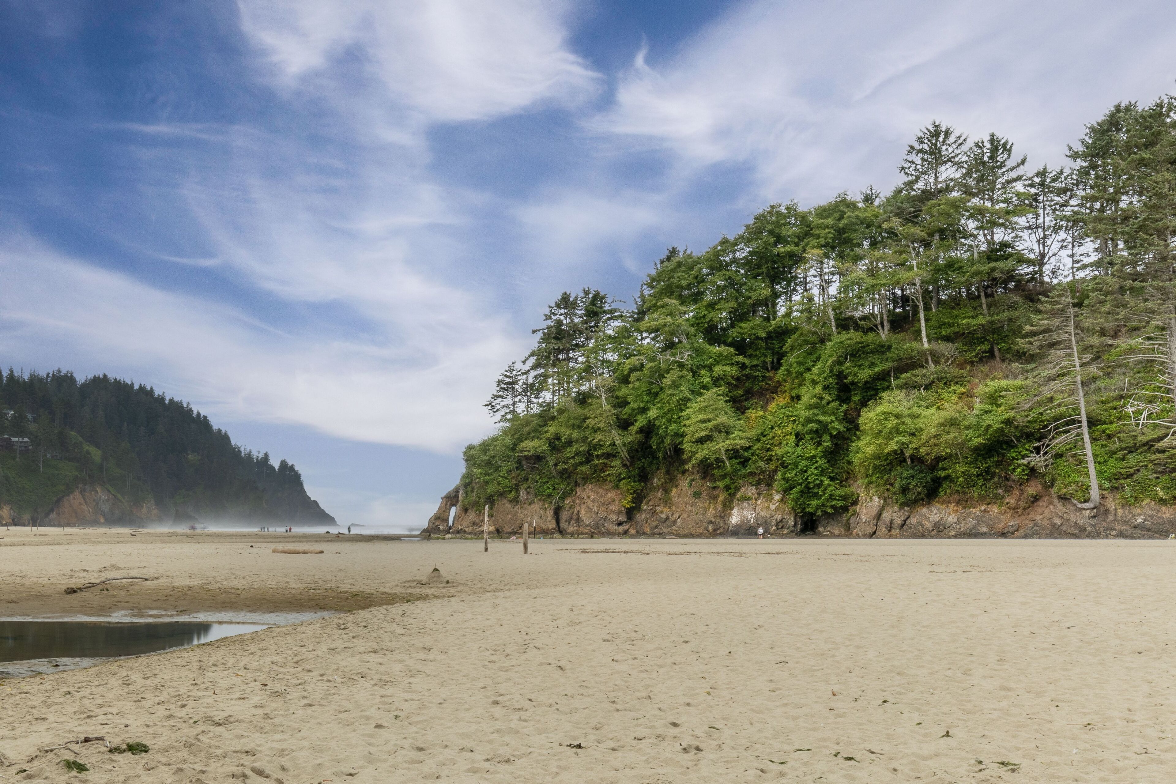 A beach with a sandy shore, a small body of water, and a forested hillside.