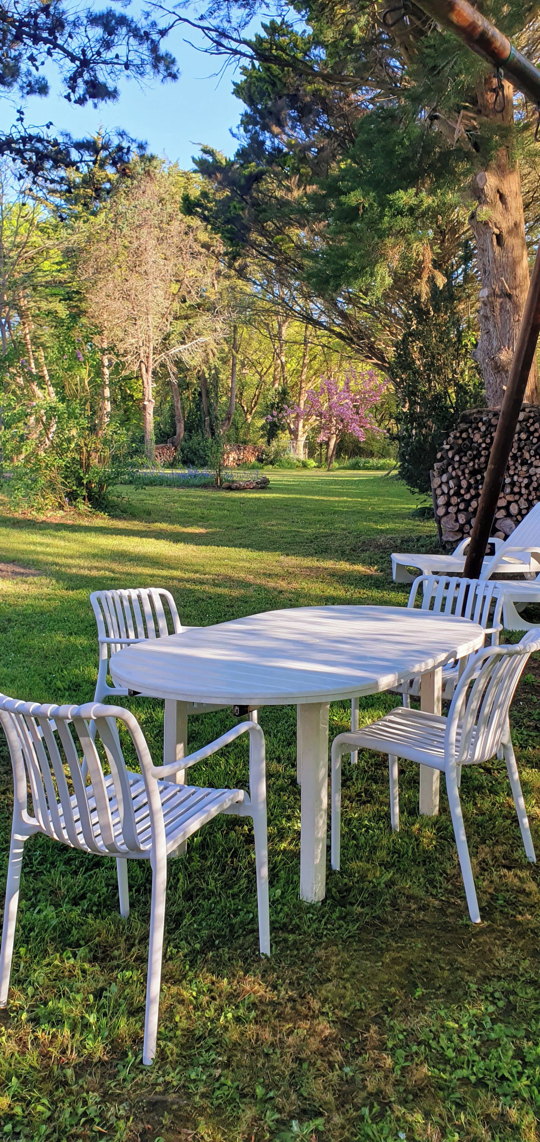 A white outdoor table and chairs set in a grassy area with trees and a pile of logs in the background.