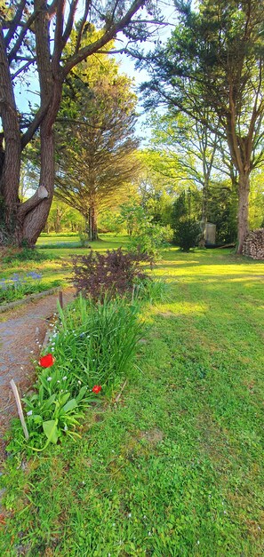 Ein Garten mit Bäumen, einem Weg und einer kleinen Bausubstanz.