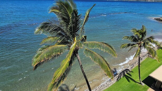 Vista despejada de una playa con palmeras y una montaña al fondo.