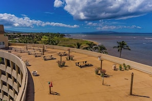 Eine Terrass mit Picknicktischen und Blumentöpfen mit Blick auf einen Strand und den Ozean.