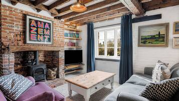 Smart TV, fireplace, DVD player, books